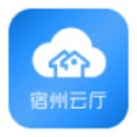 宿州电子政务app